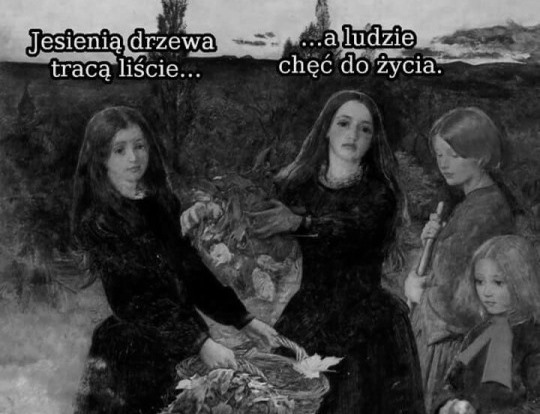 pro-wokacja:  irracjonalne-zmiany:irr  P