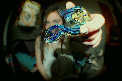 Blue Devil