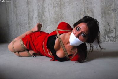 Porn photo bondagehedgehog:Angel