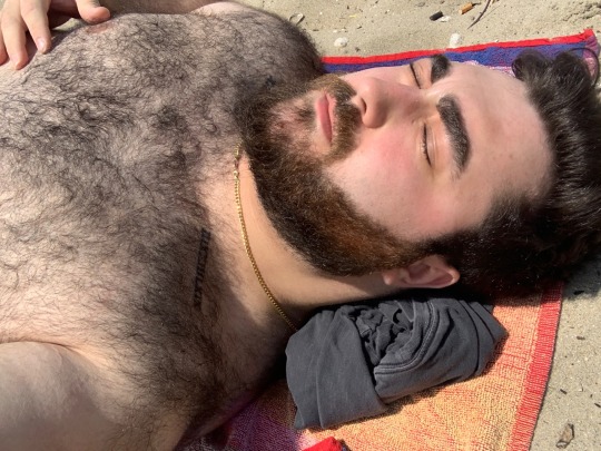 tumblr photo littleotter4hairyman 15