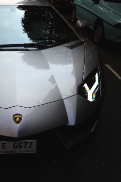 vistale:  Aventador | via 