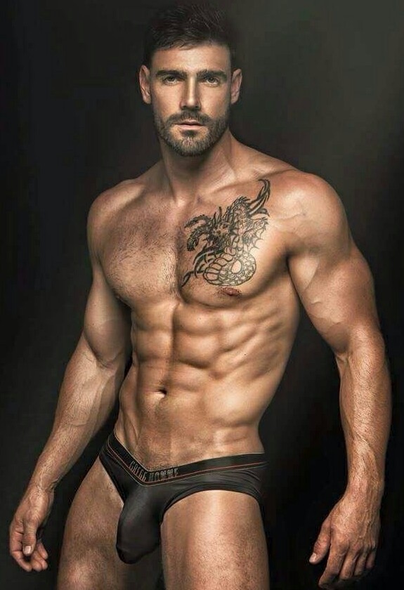 Dedicated Follower of Bulges