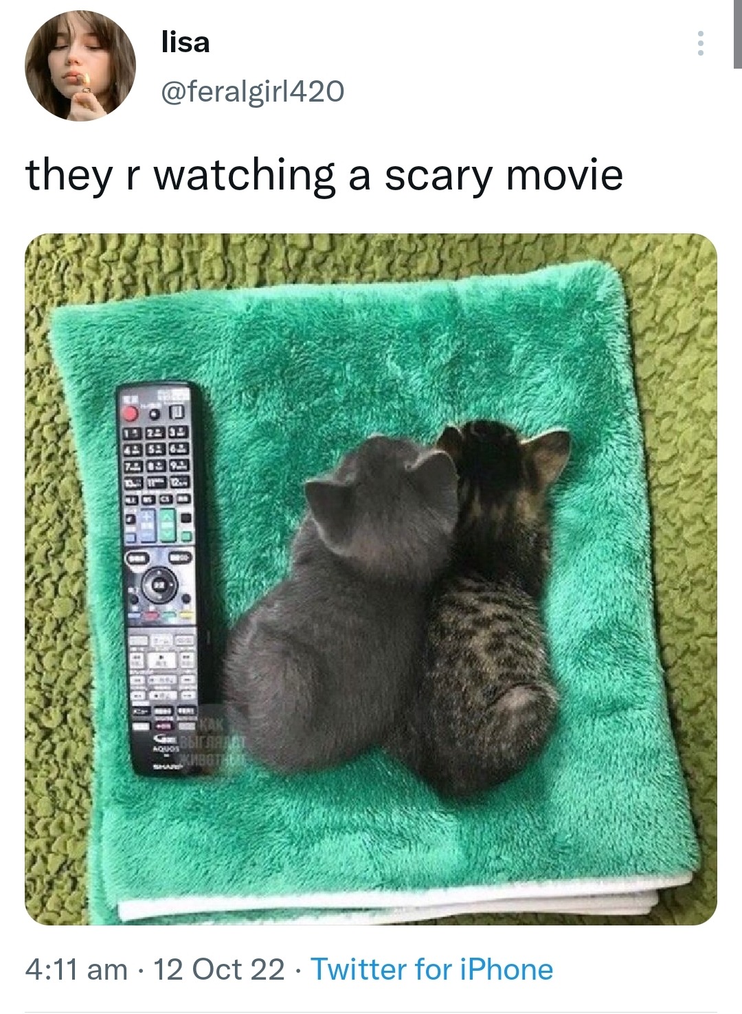REDACTED On Tumblr redacted-on-tumblr