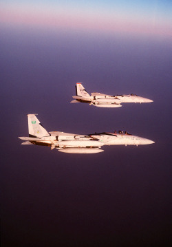 31262:  Eagles On Patrol During Desert Shield (Source)