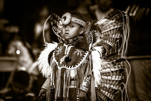                                               “Tuff Little Guy”Powwows are serious business for the 