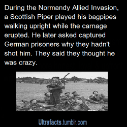 Nightengale-Nightmares-Inc:  Ultrafacts:  Source For More Posts Like This, Click