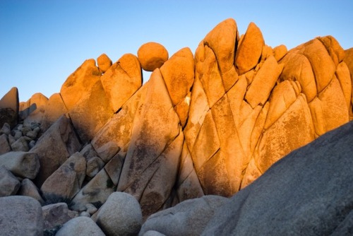 Jumbo Rocks in Joshua Tree National Park, CA. Photo by Aaron Rayburn