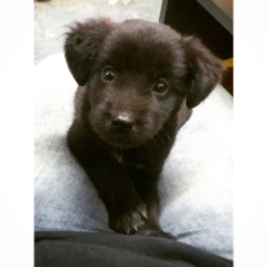 Marley ♡♡