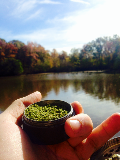 bongmeblazer:  Sunday cyphe at the lake 