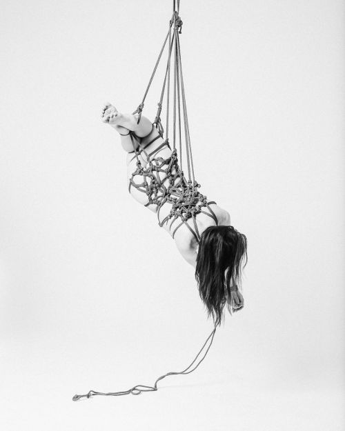 justscreenshots:Shibari & Photo Hajime