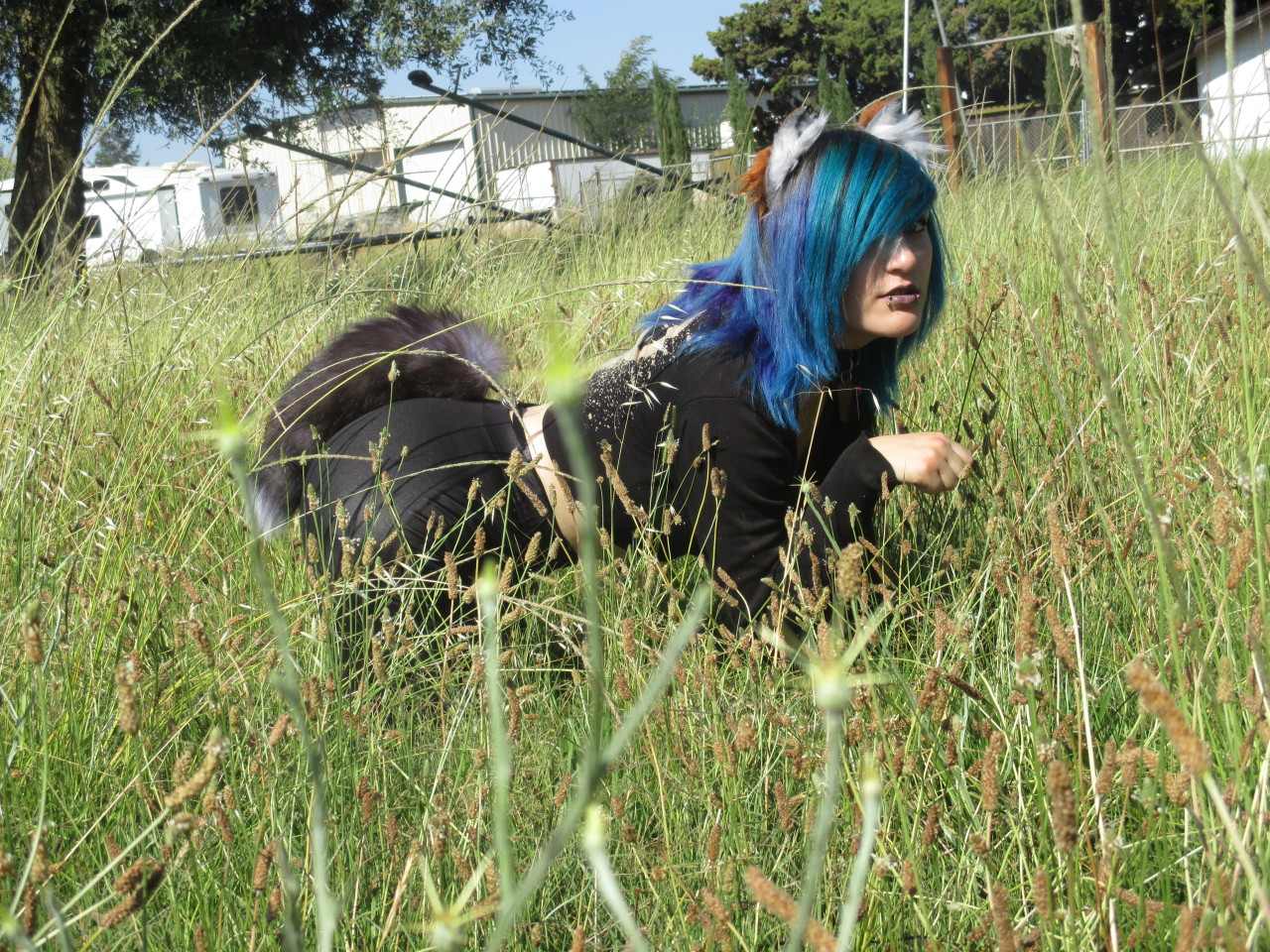 kitten-n-master:  SomePicsITookToday&lt;3 