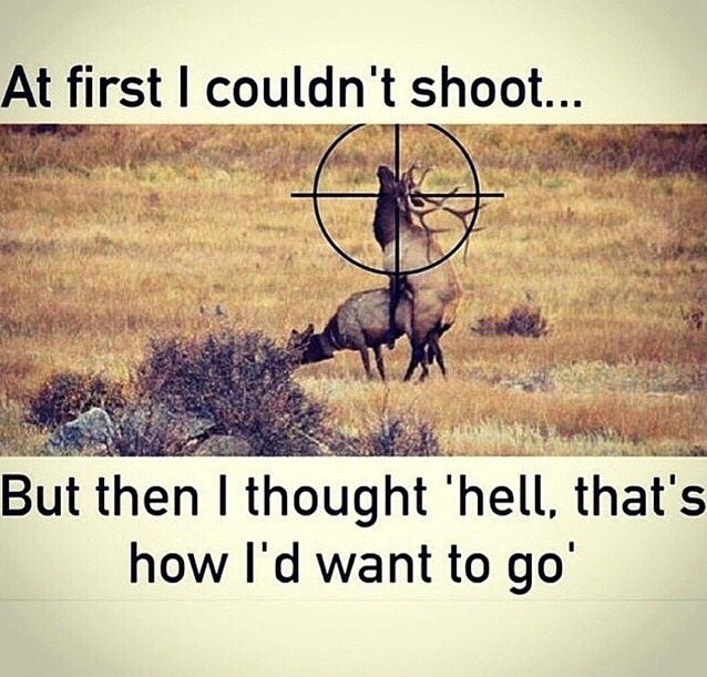 dippincountryboy:  Damn right🙌😂 