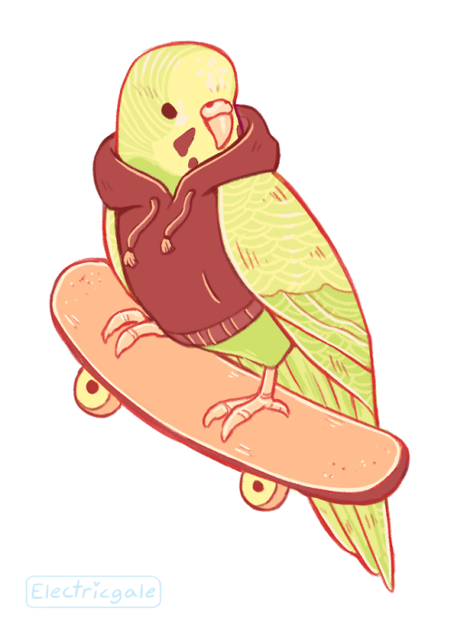 electricgale:I finally made some more cool skateboarding birds! Or coo birds if you will.Get them as