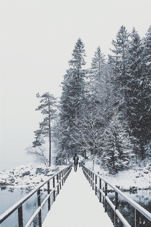 ikwt:  Snowy Pathway (jannikobenhoff) | instagram 