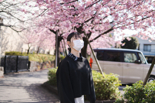 散らない桜sony a6400 + SIGMA 56mm F1.4 DC DN | Contemporary2022.4location : 静岡県 Shizuoka, Japan桜 静岡 一眼レフ 