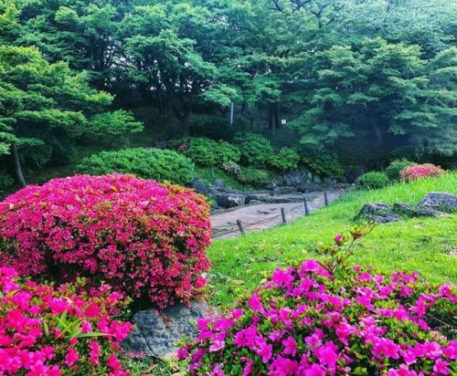 ＼おにわさん更新情報／ ‪[ 東京都文京区 ] 関口台公園 Sekiguchidai Park, Bunkyo-ku, Tokyo の写真・記事を更新しました。 ―― #マレーシア大使館 の跡地に開か