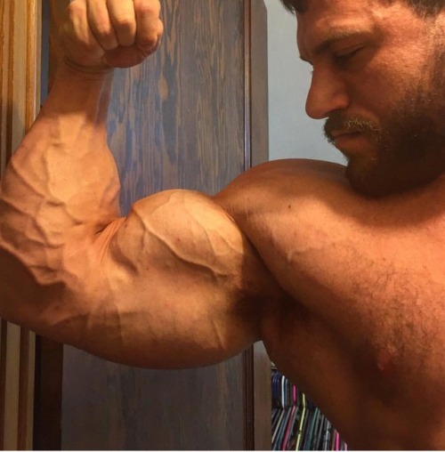 Sex Peak Muscle pictures