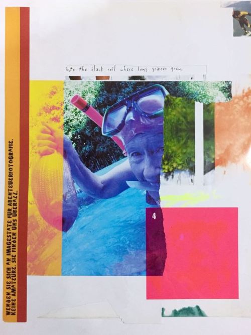 hartrippe:Collages I & II11″x17″