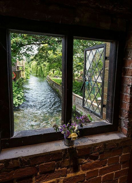 orchidaaorchid:‘Winchester- window with view’ by Allan Harris