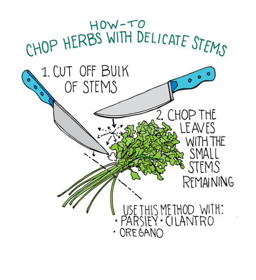 truebluemeandyou:DIY Basic Illustrated Guide: How to Use Herbs from Illustrated Bites here 