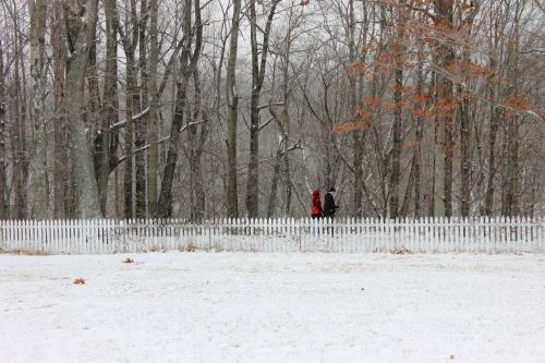 A Fence of Mirrors Reflects the Changing Landscape Created by artist Alyson Shotz