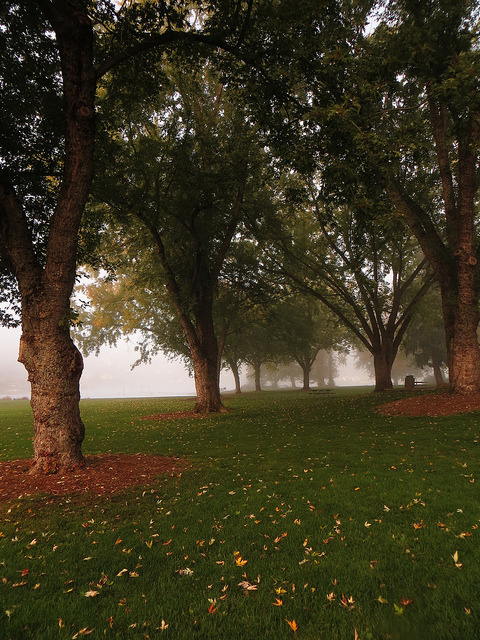 Fog creeping in on a tiny locomotive by Dos Con Mambo on Flickr.