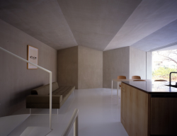 odaro:house in nagoya /  suppose design