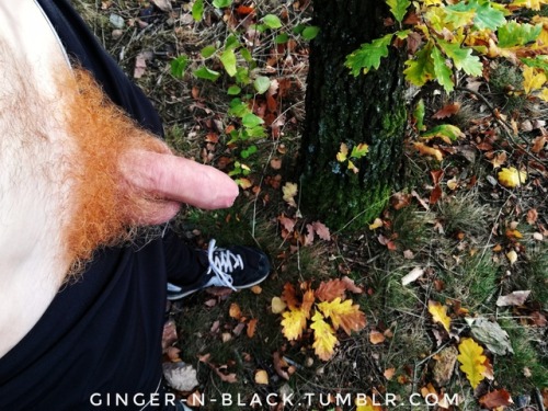 ginger-n-black: Who likes colourful autumn?