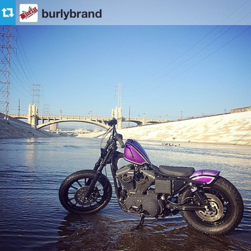 The beautiful @burlybrand Brat in the LA River. — “No man ever steps in the same river t