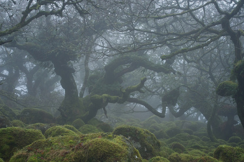 90377:Into the Mystic by Duncan George on Flickr.