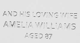 ginnywesleys:                                             Amelia Pond.                              
