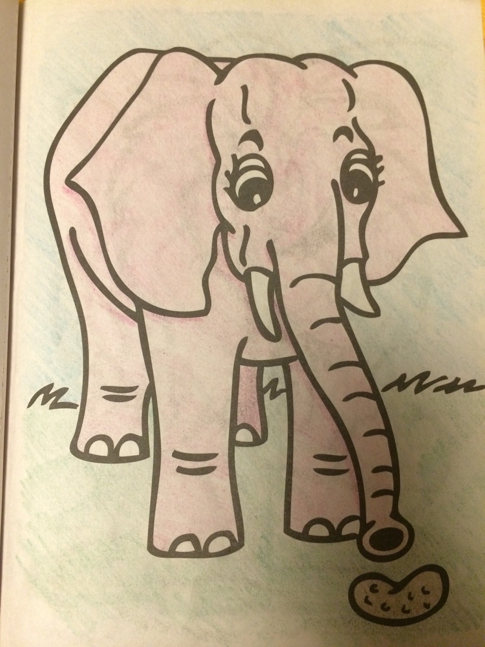 dicklover3000:  dicklover3000:  dicklover3000:  GIVEAWAY: these really cool elephants