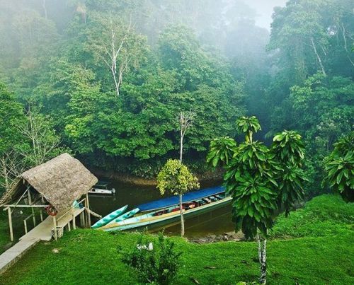 outnabouttrvl: #Ecuador, rain forests undiscovered by tourism. #travelinspirations #ecotravel #rain