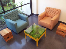 gardensinunexpectedplaces:  Ferniture, via Habitat