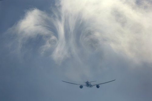 Take Flight.
