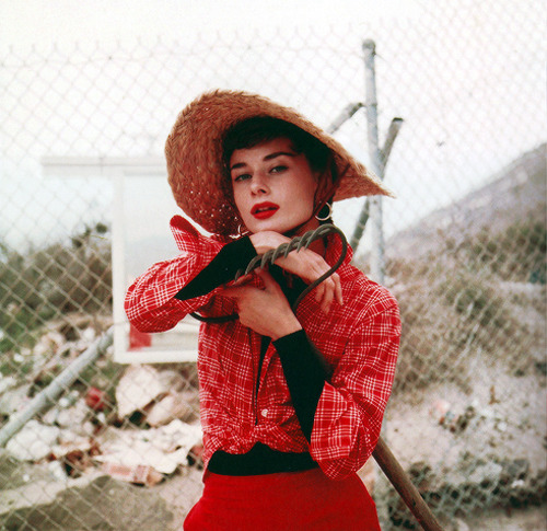 missaudreyhepburn:   Audrey Hepburn, 1955