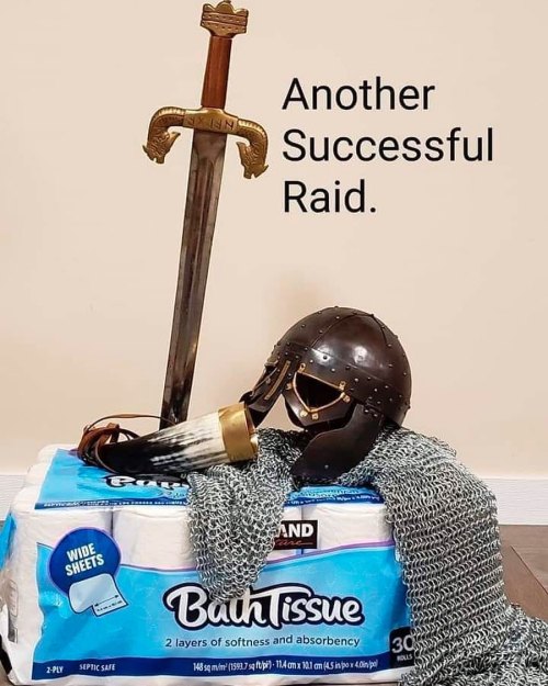 Follow ▶️ @nordic.brotherhood for more Vikings memes. ⠀ ⠀ #raid #ragnar #ragnarlothbrok #kingragnar 