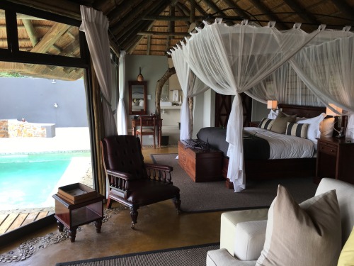 todancewithkings: Our beautiful room, Leopard Hills