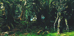 tiffaching:  lotr meme: three races → ents  &ldquo;But I have an odd feeling