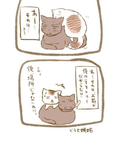 Mmm Whatcha Say お花夫婦 とりあえず猫としておかしい ねこたりあ Pixiv Id