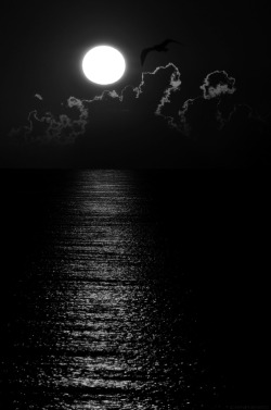 sgvzlostangel:  #ocean #Moon #moonlight #clouds