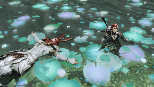 roegadynroost:We met during Heavensward, and went through Stormblood together as friends, a Bard and