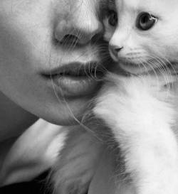 onto-my-trembling-lips:Meow 