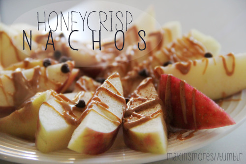 honeycrisp apple + melted peanut butter + cinnamon + chocolate chips I made this while my boyfriend 