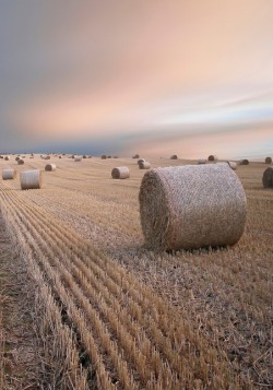 cubebreaker:  Harvest Under a Refinery Sky