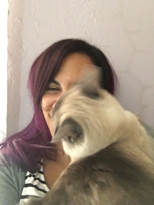 furpiedoesntsell: Here’s a series of Mimieux interrupting my selfies with face hugs @mostlycat