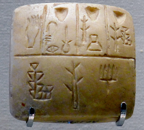 Limestone tablet with Sumerian cuneiform (late 4thmillennium BC, during Uruk III).This is possibly a