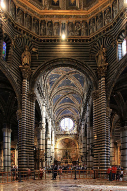Plasmatics-Life:  Duomo Di Siena - Italy | {By Bart Ceuppens} | {Follow On 500Px}
