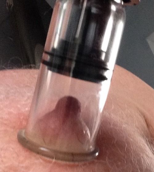 https://nipplepigs.tumblr.com/post/160148330785