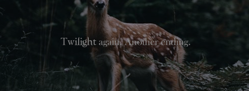 whendawn:Cinematic aesthetic for the Twilight saga 1/4  TWILIGHT, Edward and Bella quotes